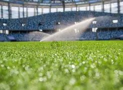 山东泰山队,引进五位强,力外援,中国体彩,中国竞猜官网,中国体育竞猜平台,中国足球玩彩网